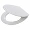 8720605754659_tiger_convert_imit_toiletseats_open_white.tif